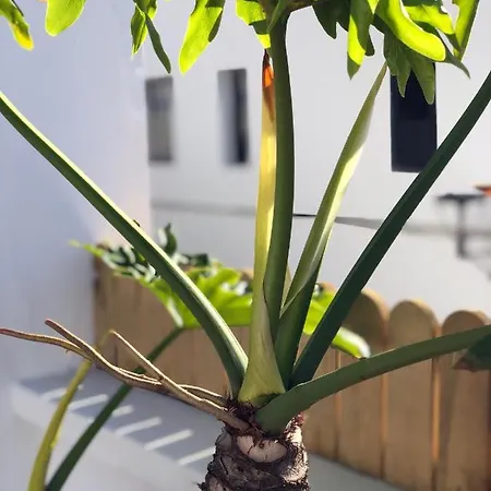 بيت للعطل Punta Brava Sun