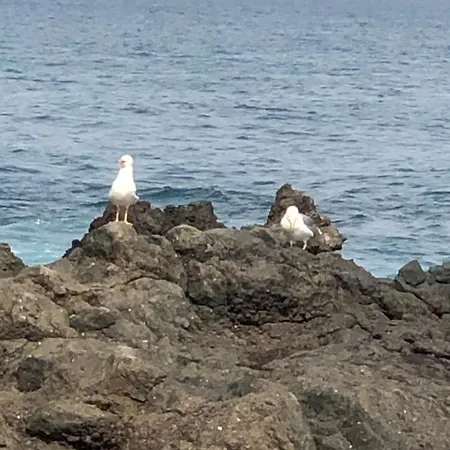 Punta Brava Sun *