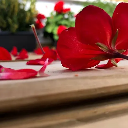 بيت للعطل Punta Brava Sun بويرتو ذي لا كروز